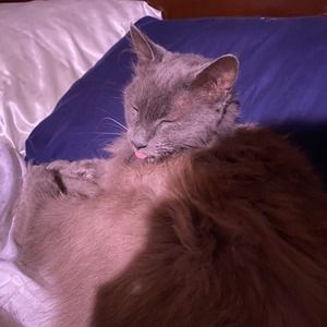 Meet your Posher, Alejandra